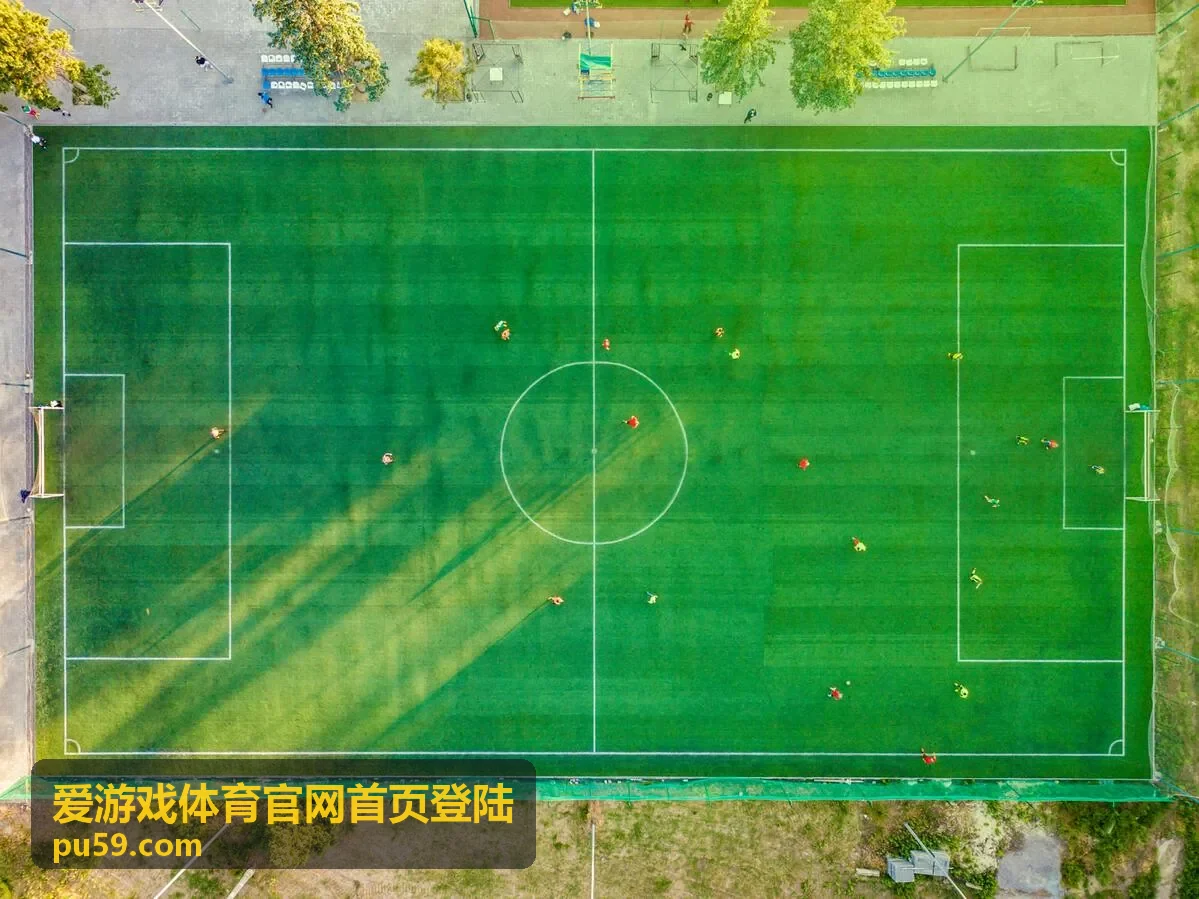 爱游戏体育官网首页登陆相关入口说明配图